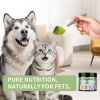 Dental Powder â€“ Helps Clean Teeth & Reduce Tartar, Fresh Breath Support, Natural Dental Care for Dogs, Easy to Use