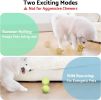 seagi Interactive Dog Toys â€“ Durable Automatic Bouncing & Vibrating Interactive Dog Ball for Smart Play, Motion-Activated Moving Dog Toy for Small/M